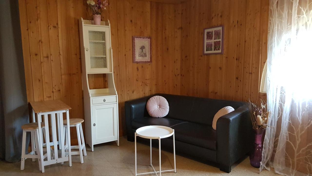 Le Clos Du Cedre Saint Sebastien d'Aigrefeuille Exteriér fotografie