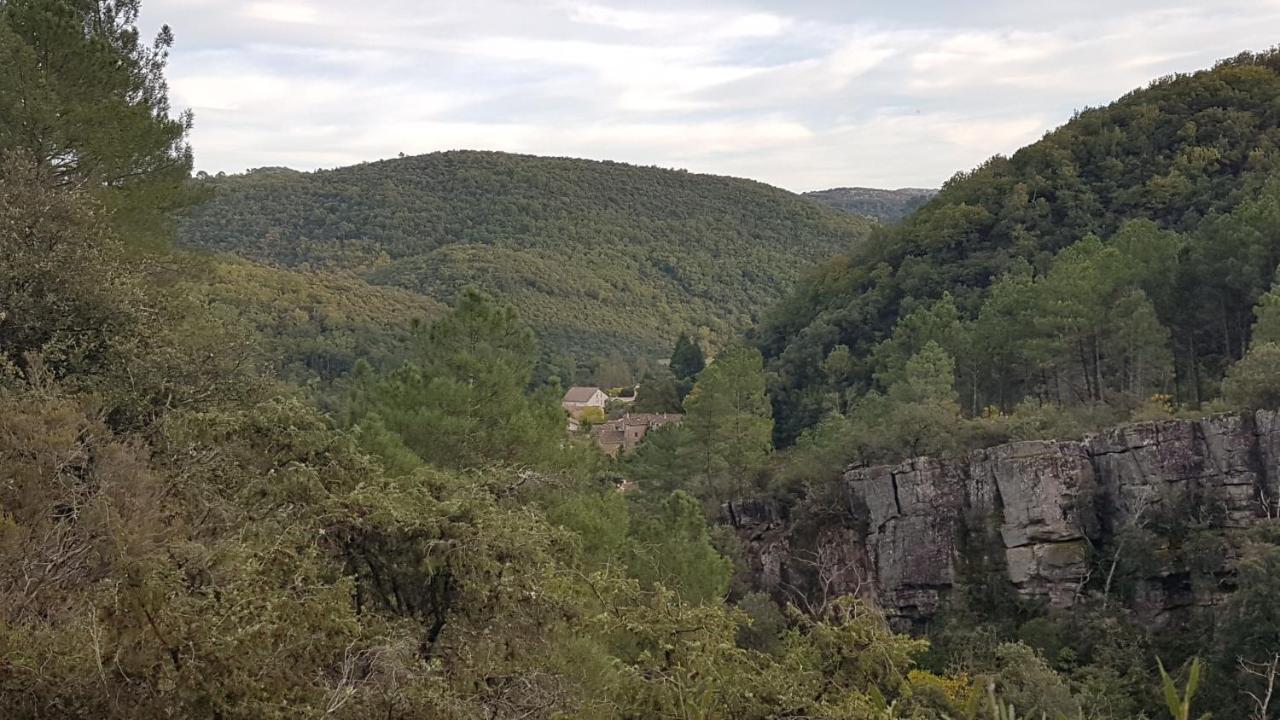 Le Clos Du Cedre Saint Sebastien d'Aigrefeuille Exteriér fotografie