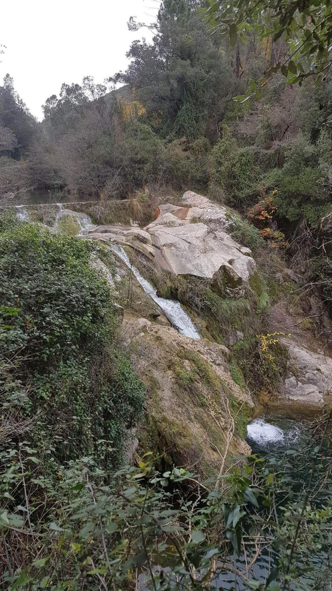 Le Clos Du Cedre Saint Sebastien d'Aigrefeuille Exteriér fotografie