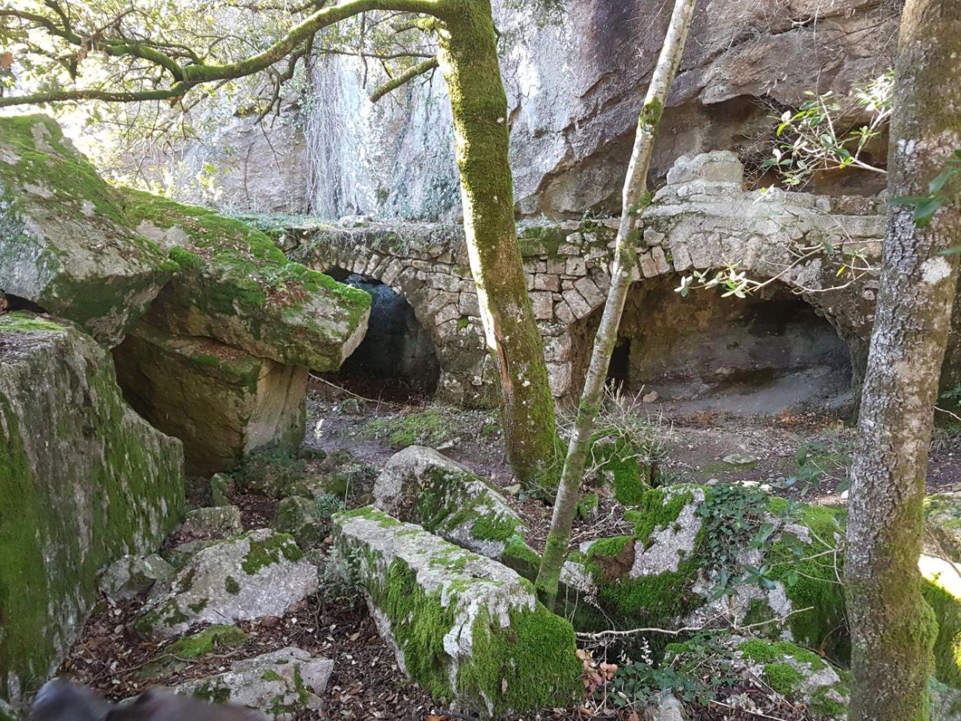 Le Clos Du Cedre Saint Sebastien d'Aigrefeuille Exteriér fotografie