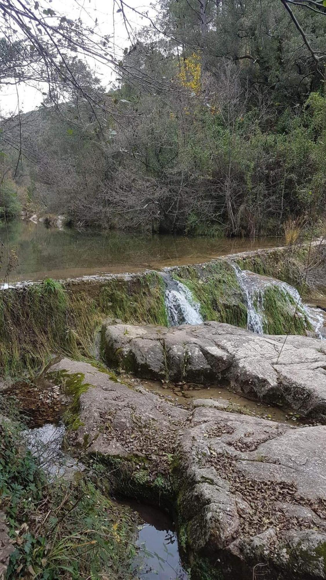 Le Clos Du Cedre Saint Sebastien d'Aigrefeuille Exteriér fotografie