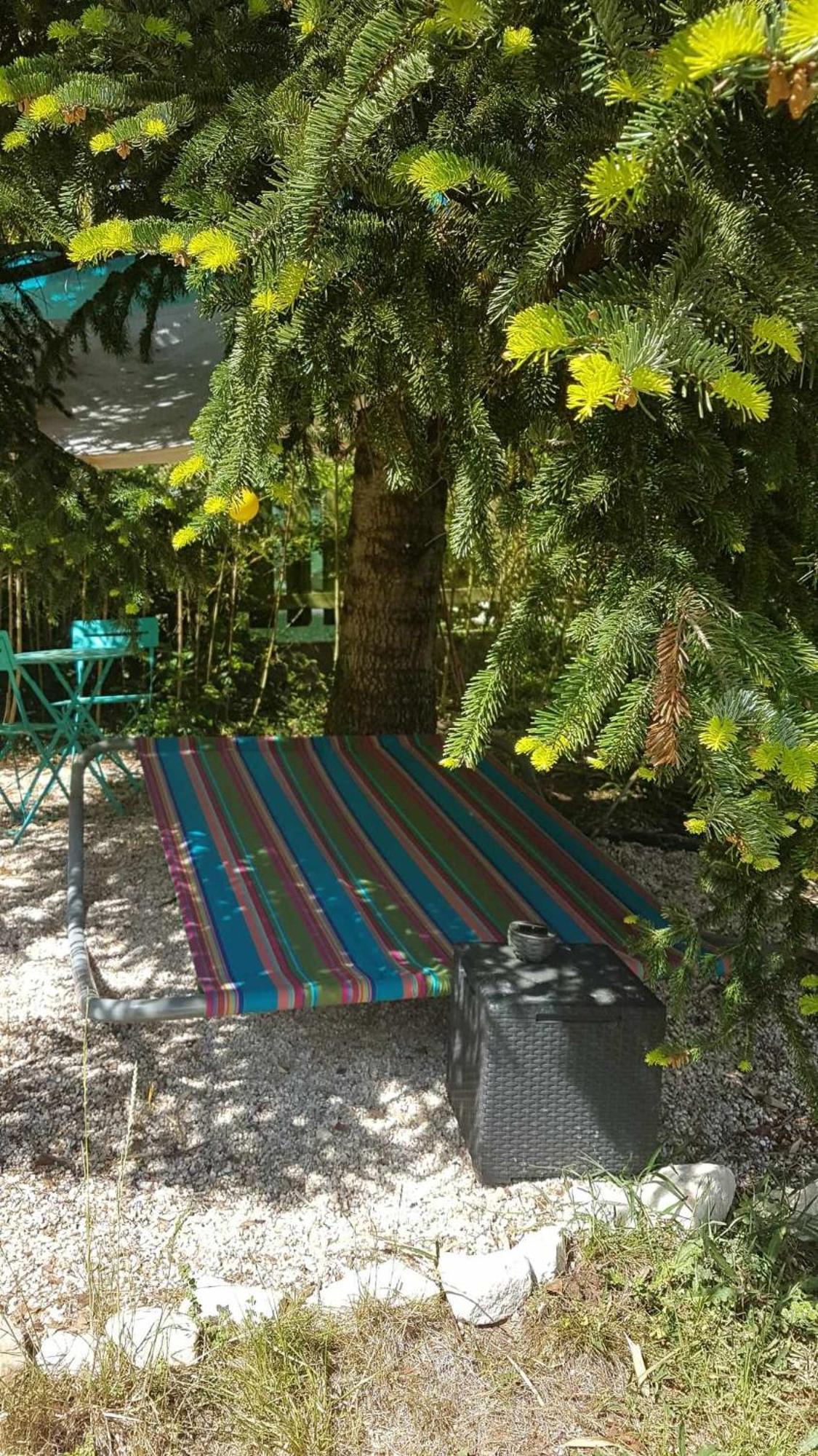 Le Clos Du Cedre Saint Sebastien d'Aigrefeuille Exteriér fotografie
